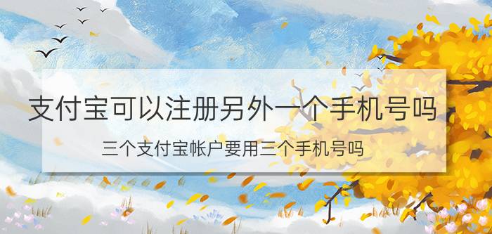 支付宝可以注册另外一个手机号吗 三个支付宝帐户要用三个手机号吗？